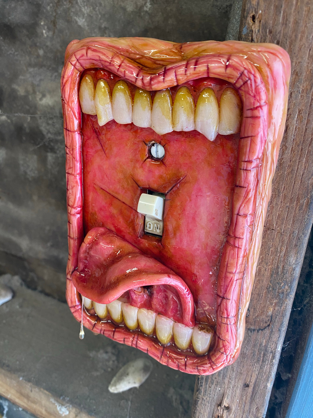 Moldy Switch Plate Tongue