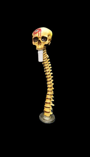 Eye Cavity Spinal Lamp
