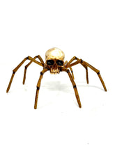 Arachno Skull