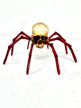 Arachno Skull