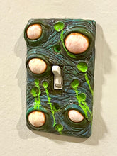 Eye Sore Switch Plate Blue
