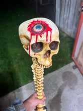 Eye Cavity Spinal Lamp