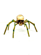 Arachno Skull
