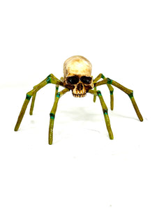 Arachno Skull