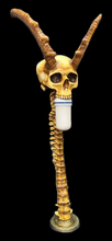 Moldy Horned Spinal Lamp