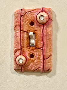 Cross Eye Switch Plate