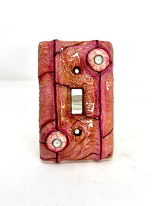 Cross Eye Switch Plate