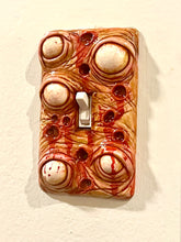 Eye Sore Switch Plate