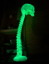 Glowing Moldy Spinal Lamp
