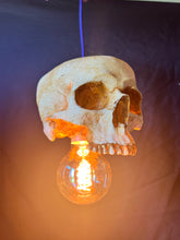 Skull Pendant Light