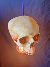 Skull Pendant Light