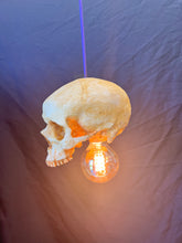 Skull Pendant Light