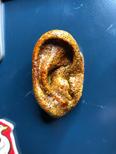 Zombie Ear Magnet