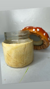 Mushroom Stash Jar