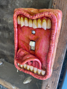 Moldy Switch Plate Tongue